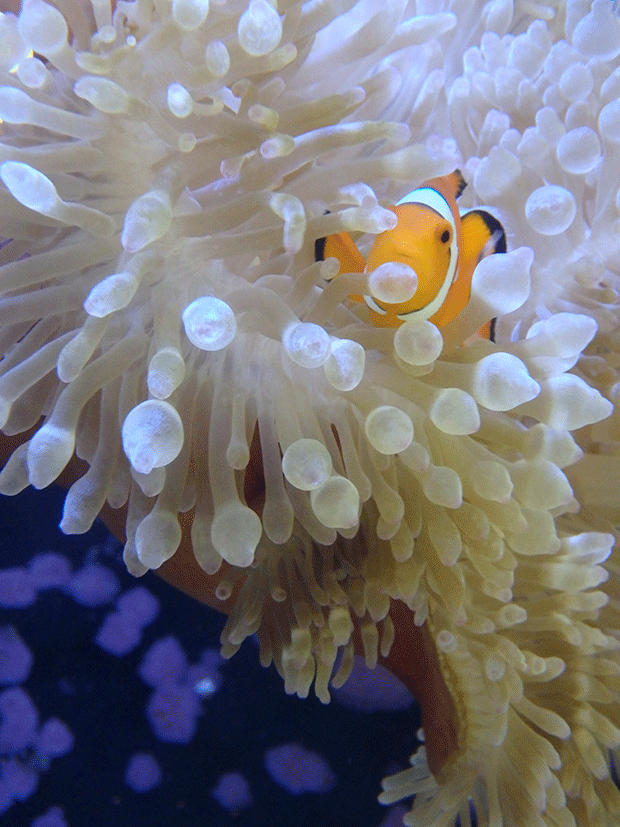 Olympus-Stylus-TG-870-sample-images4