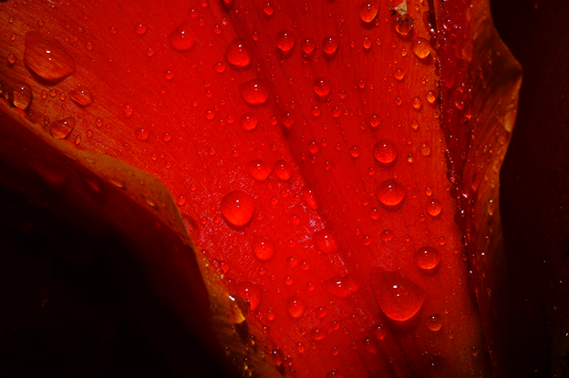 Fujifilm-X-T2-sample-images8