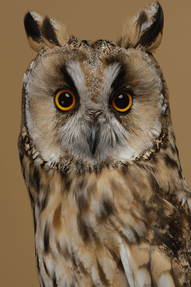 Fujifilm-X-T3-sample-images5